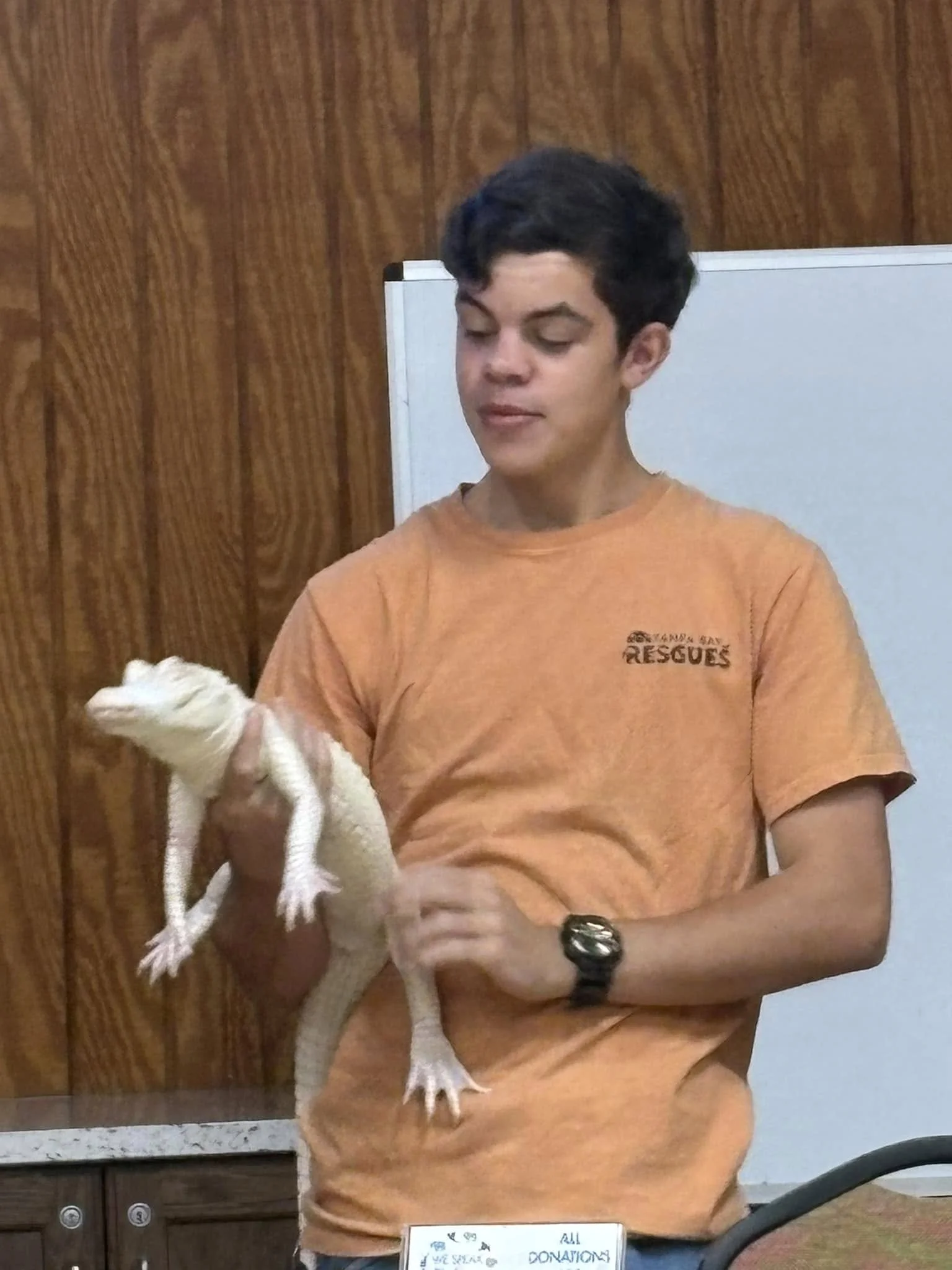 A young man with dark hair wearing an orange T-shirt with the words 'Rescue' on it is holding a small white rabbit. He is standing indoors against a wooden wall and a white panel, with a donation box on a table in front of him that has writing on it.