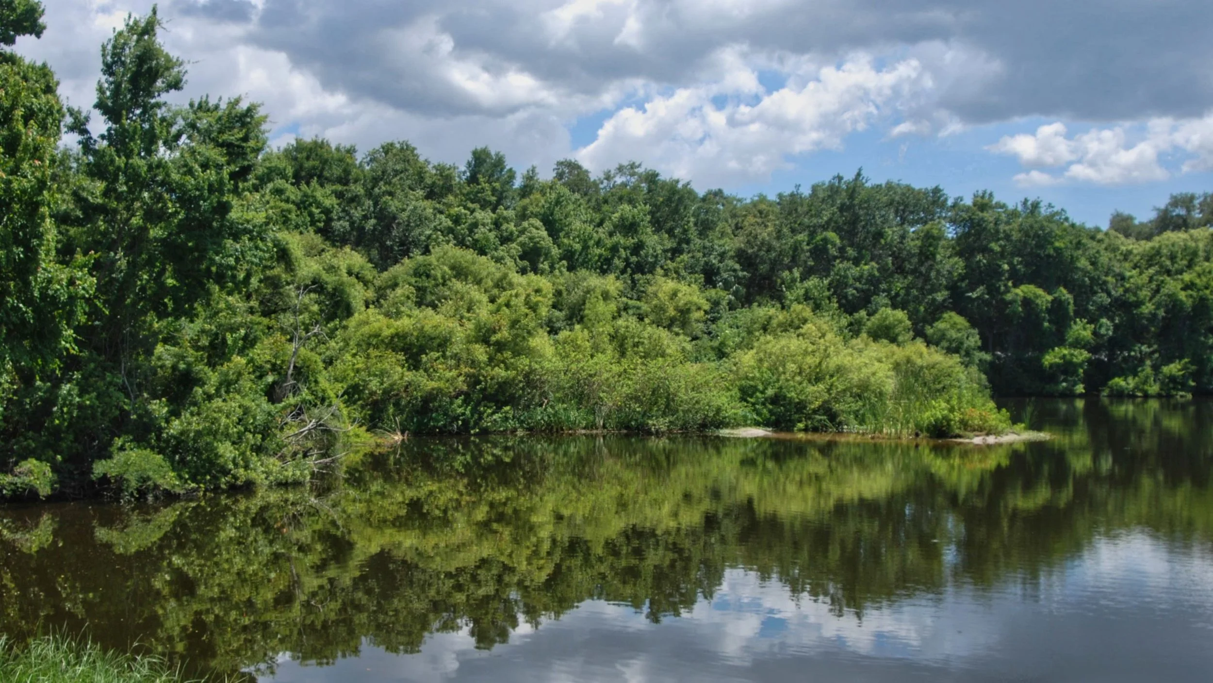 A river or lake surrounded by dense green trees with a partly cloudy sky reflected in the water.