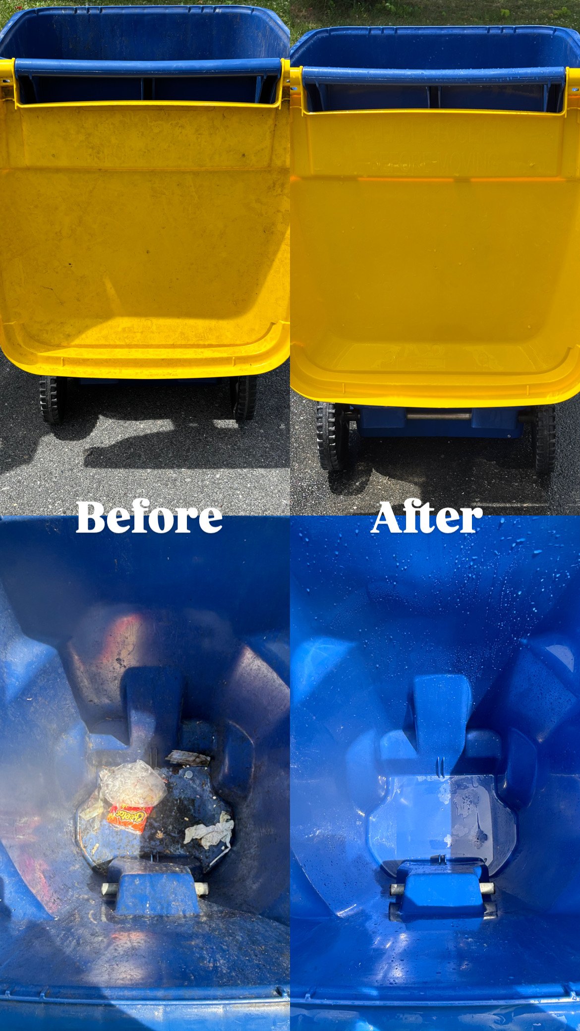 Trash Bin Cleaning