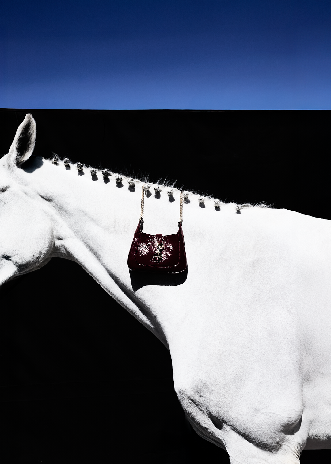 Un caballo blanco con una bolsa de color burdeos colgada de la silla y un fondo contrastante de cielo azul y sombra negra.
