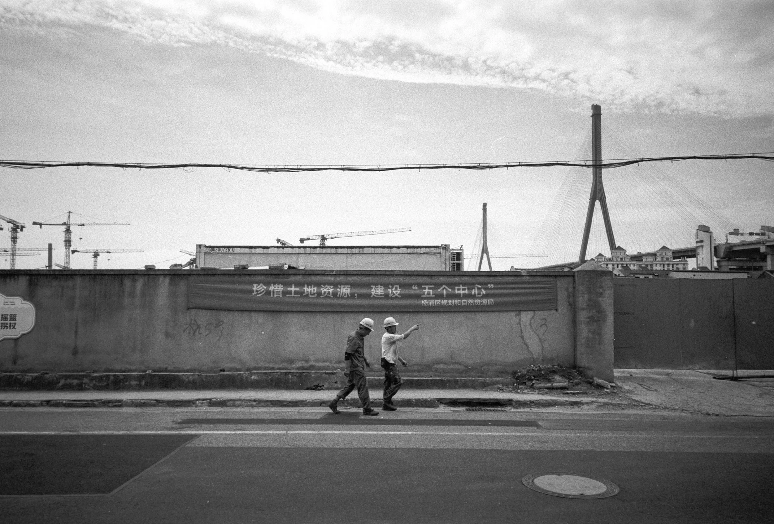 Under the Yangpu Bridge