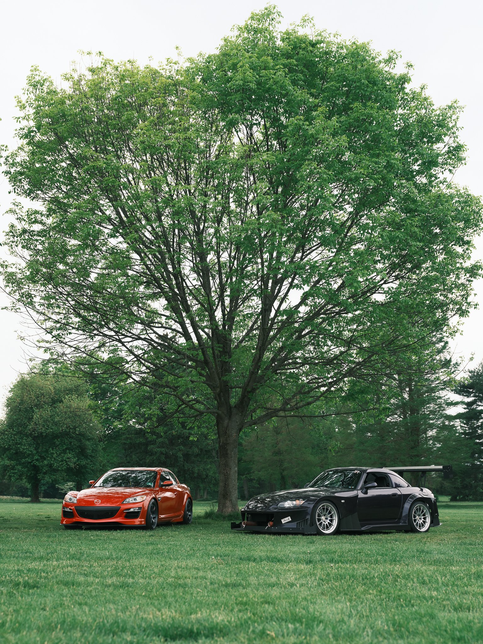 The Grassroots