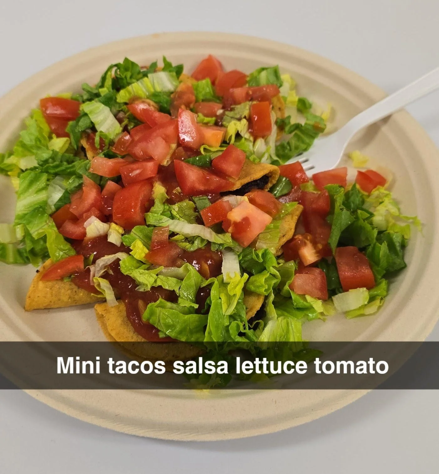 Green Salad with Fresh Salsa (Regular)
