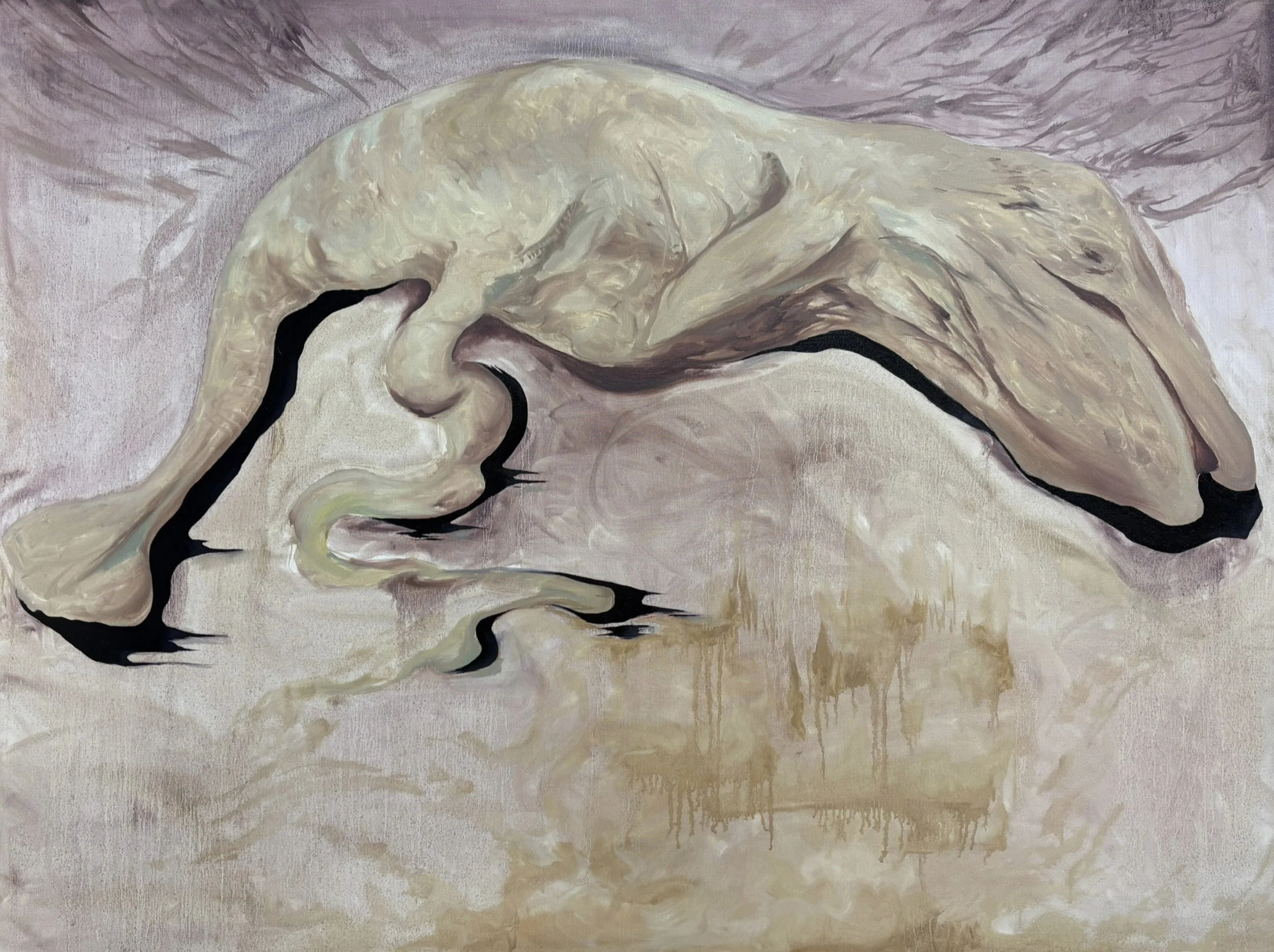 DOA, 36"x48"