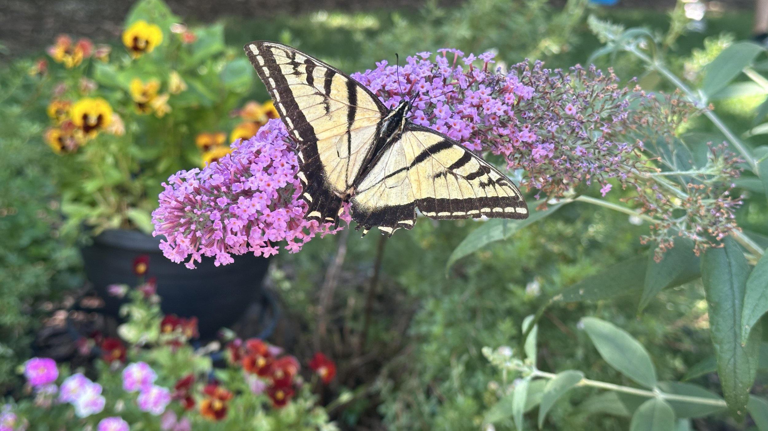 Navigating the World as a Sensitive Empath