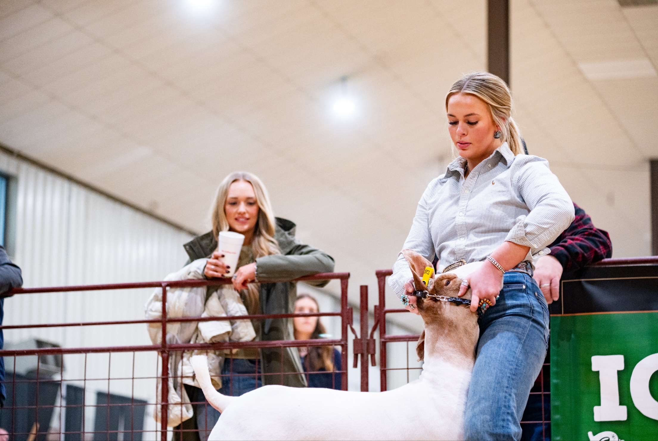 A woman is holding a small dog in her arms at a pet show or competition. There are spectators, including a young woman with blonde hair holding a coffee cup, and a cage or ramp in front of the woman with the dog. The setting appears to be indoors with ceiling lights.
