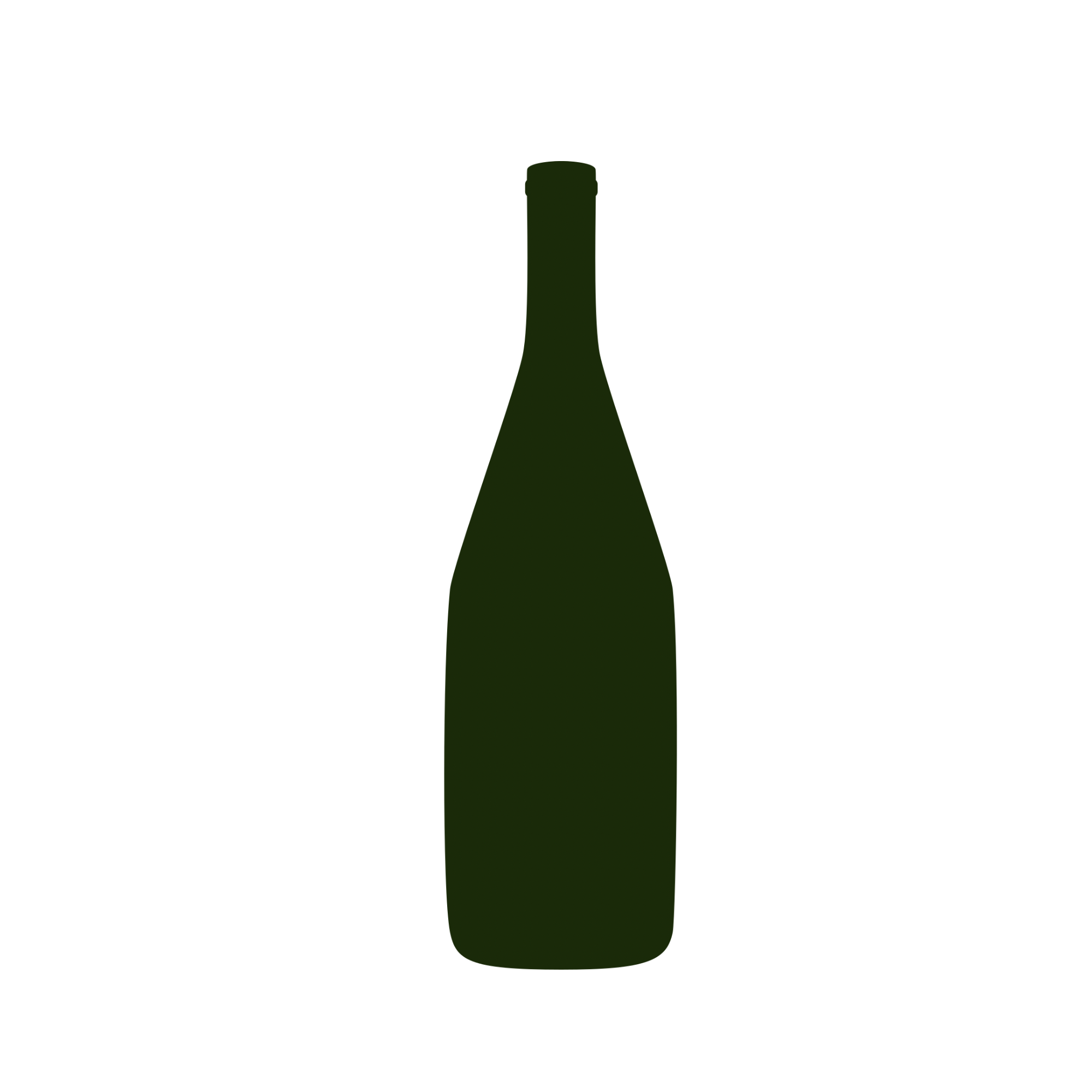 A digitally illustrated dark green bottle with a narrow neck and no label, set against a black background.