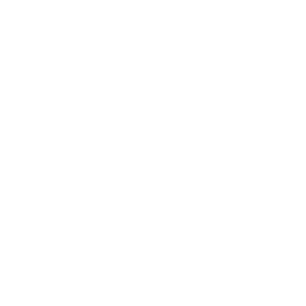 Licensed Repairer - Heavy Diesel Mechanic