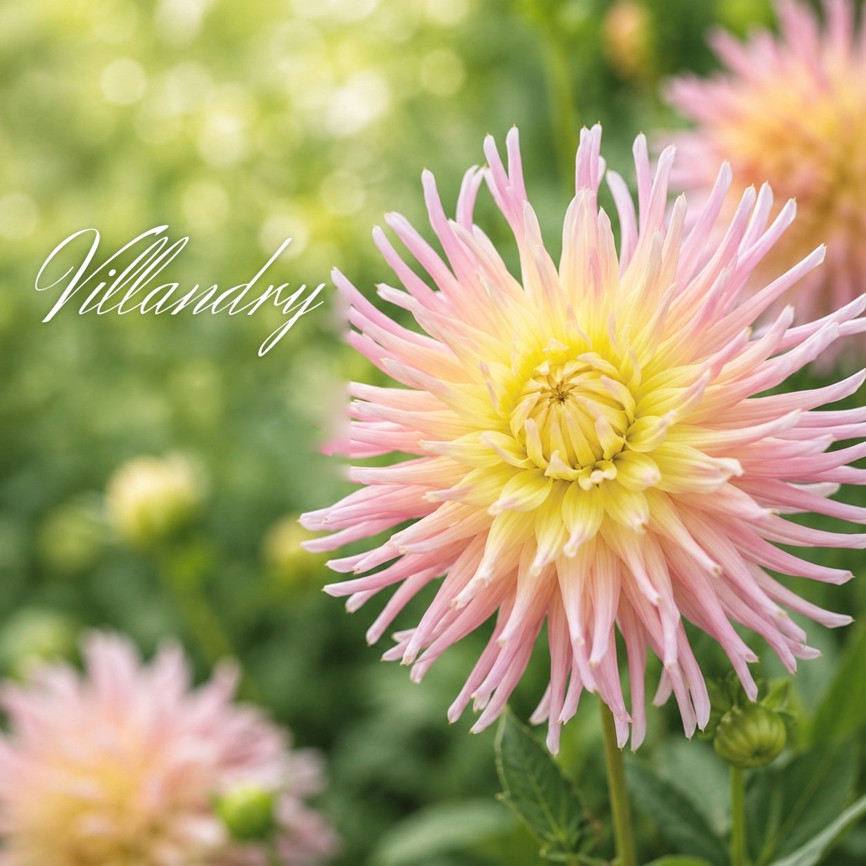 Villandry