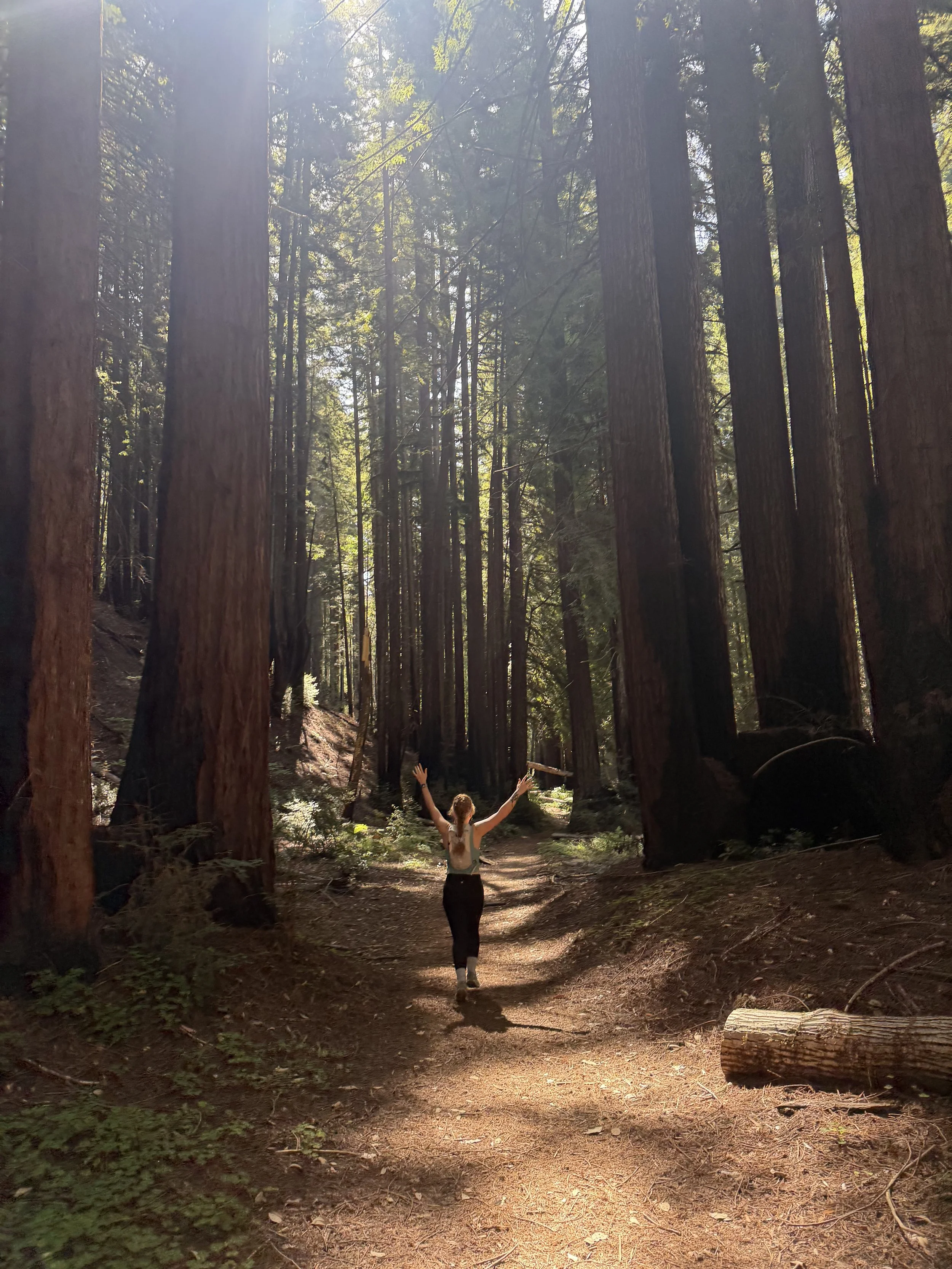 A woman trail running, hiking, athlete, sports chiropractic, rehab for outdoor athletes, redwoods, california.