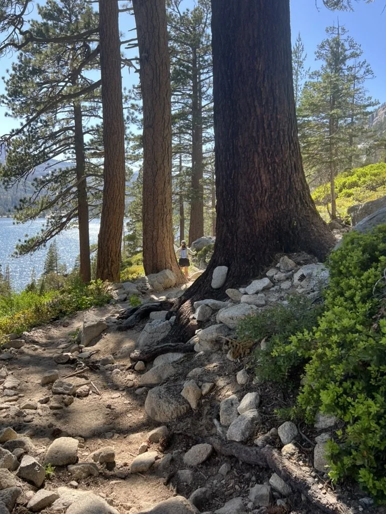 A wooded trail near a lake with large pine trees, rocks, and green bushes. A person is walking in the distance on the trail. Trail running, outdoor athletes.