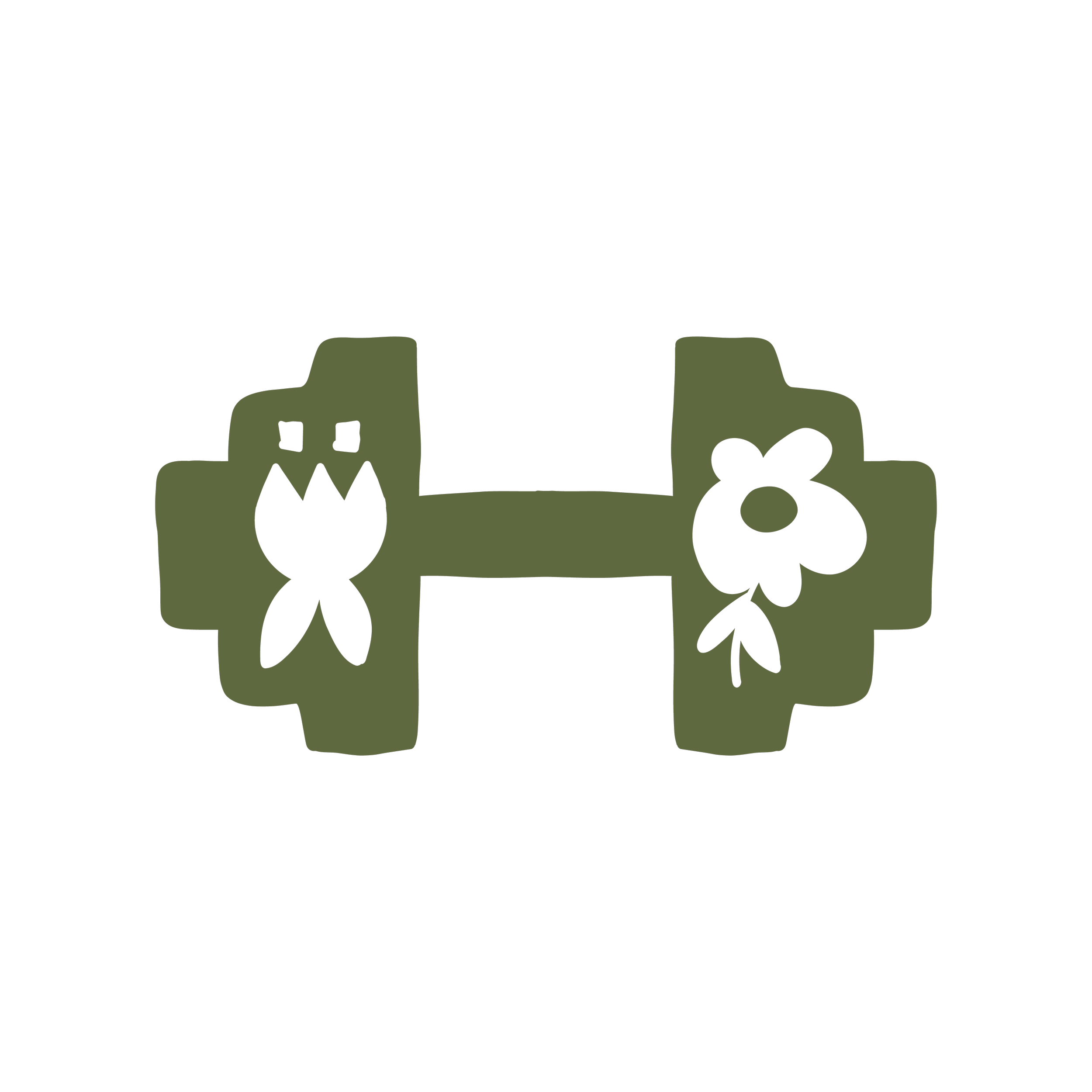 barbell, strength training, women's health, prenatal rehab, perimenopausal strength training. exercise and movement therapy.