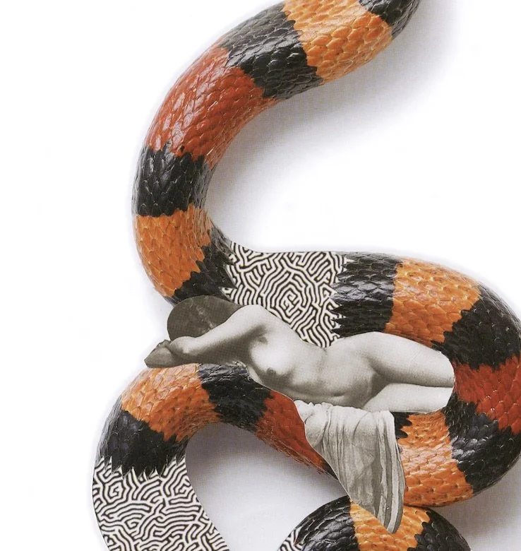 snake_dreams_thumbnail_2.jpeg