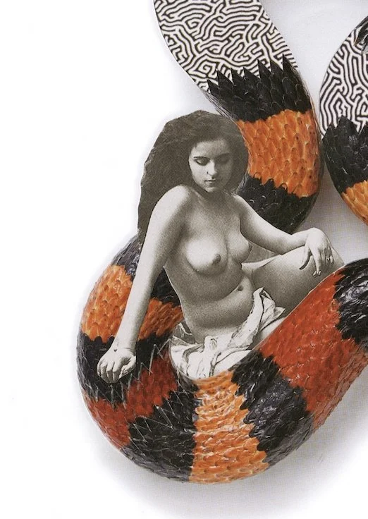 snake_dreams_thumbnail_3.jpeg