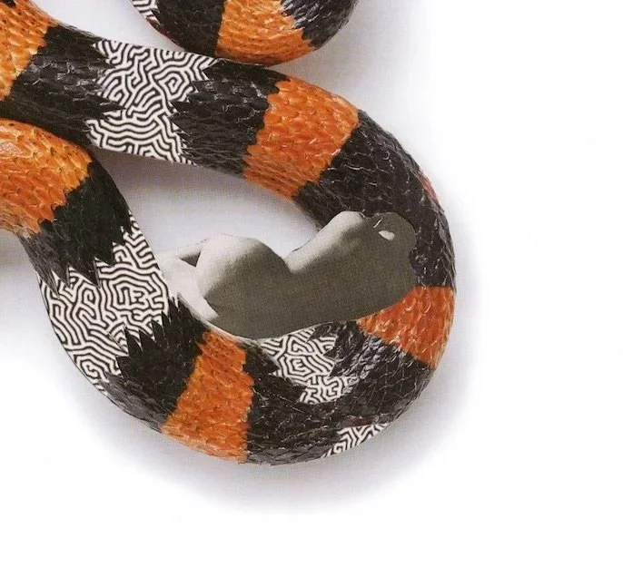 snake_dreams_thumbnail_4.jpg