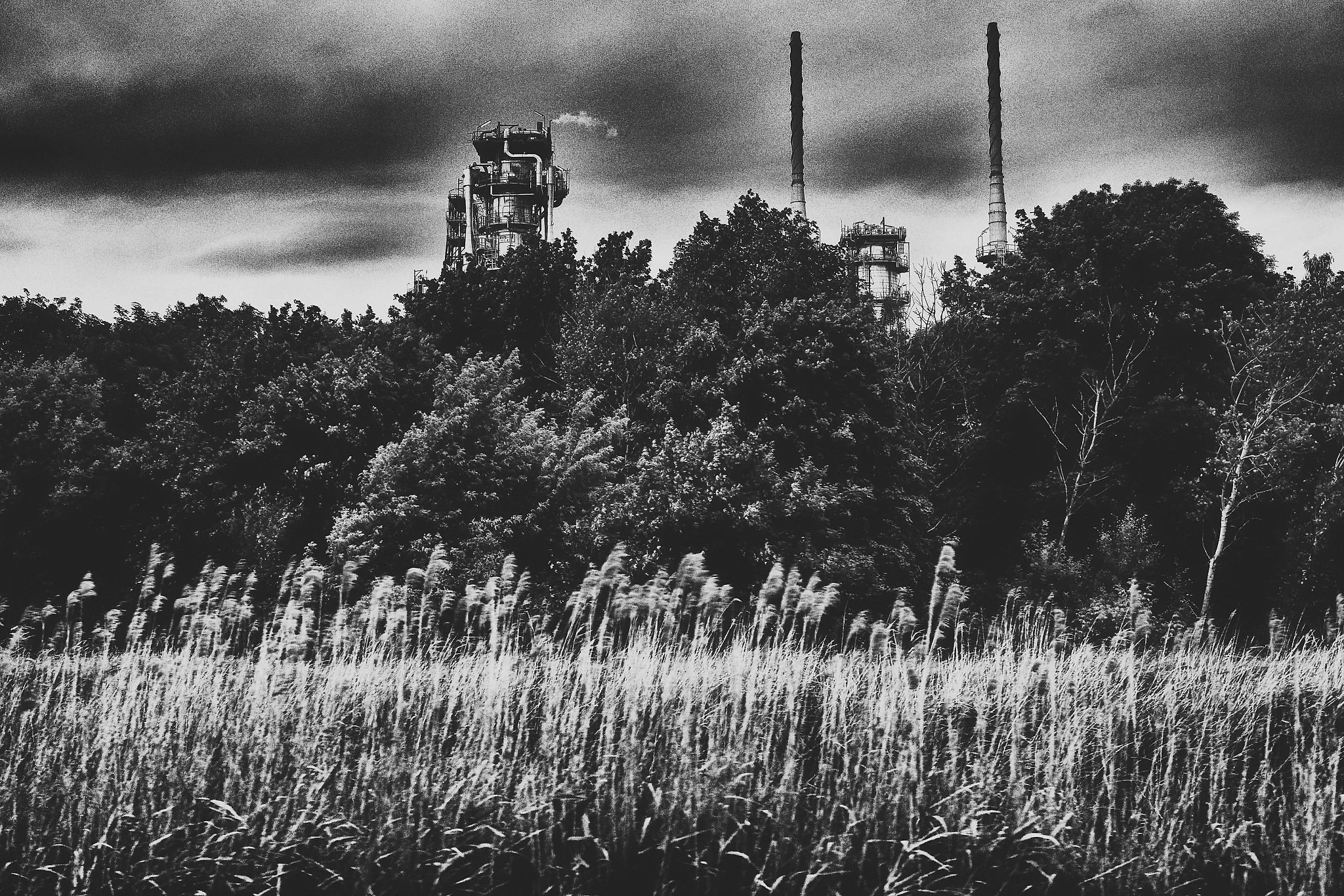 R0003863_Nik_Nik_DxO_DxO_DxO.jpg