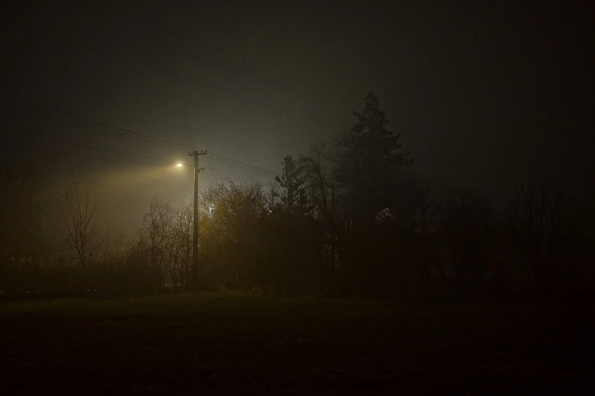 R0001571_DxO_DxO_DxO.jpg