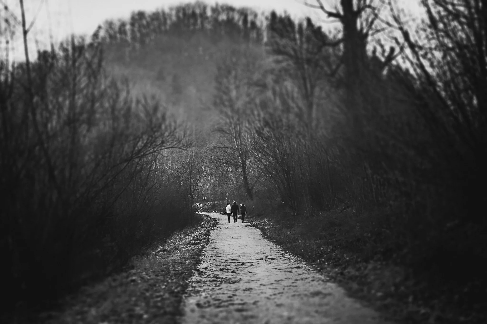 _DSC0597_Nik_DxO.jpg