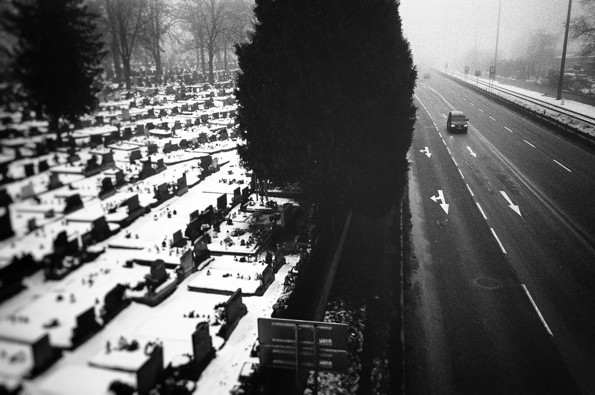 000019710003_DxO_Nik_DxO.jpg