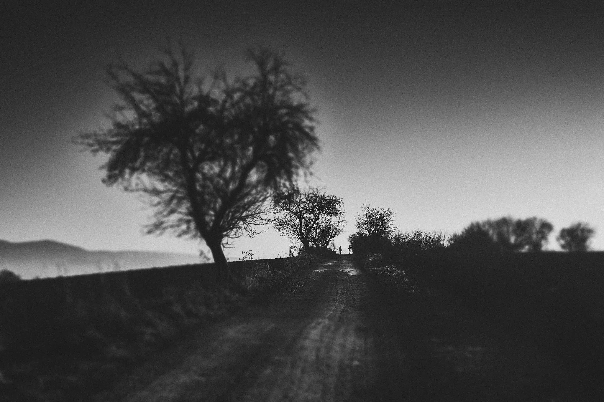 L1050302-Edit_Nik_DxO.jpg