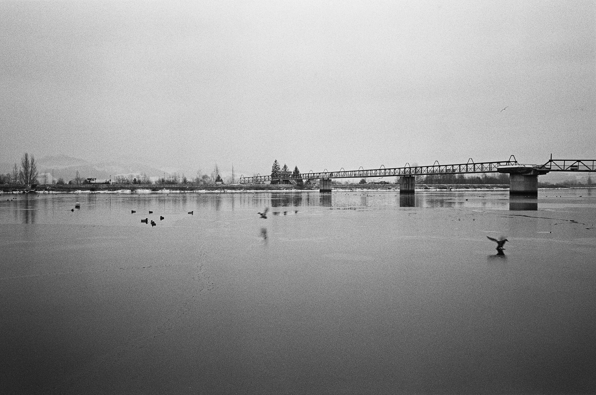 000021200024_DxO.jpg