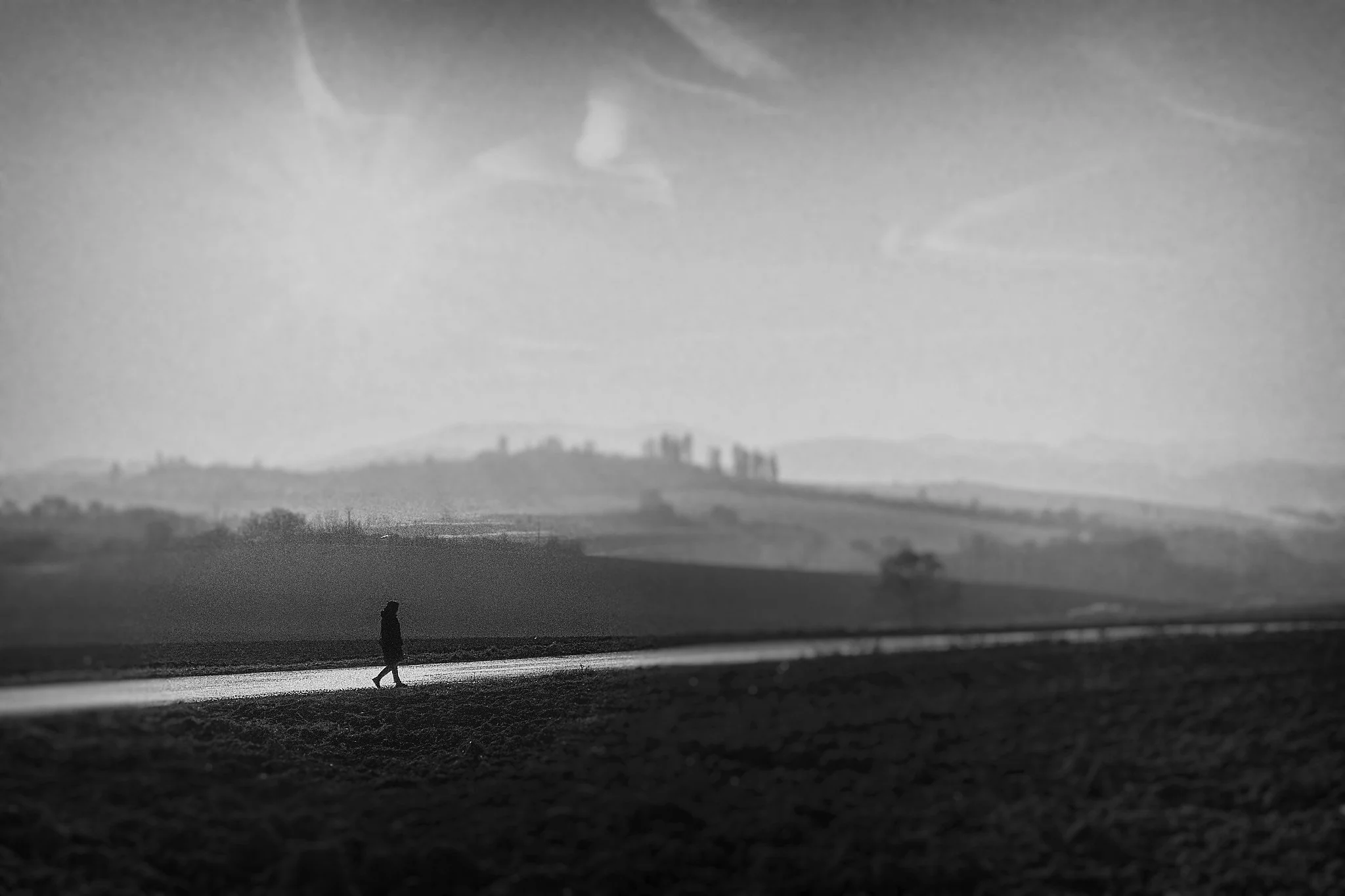 L1050317-Edit_Nik_DxO.jpg