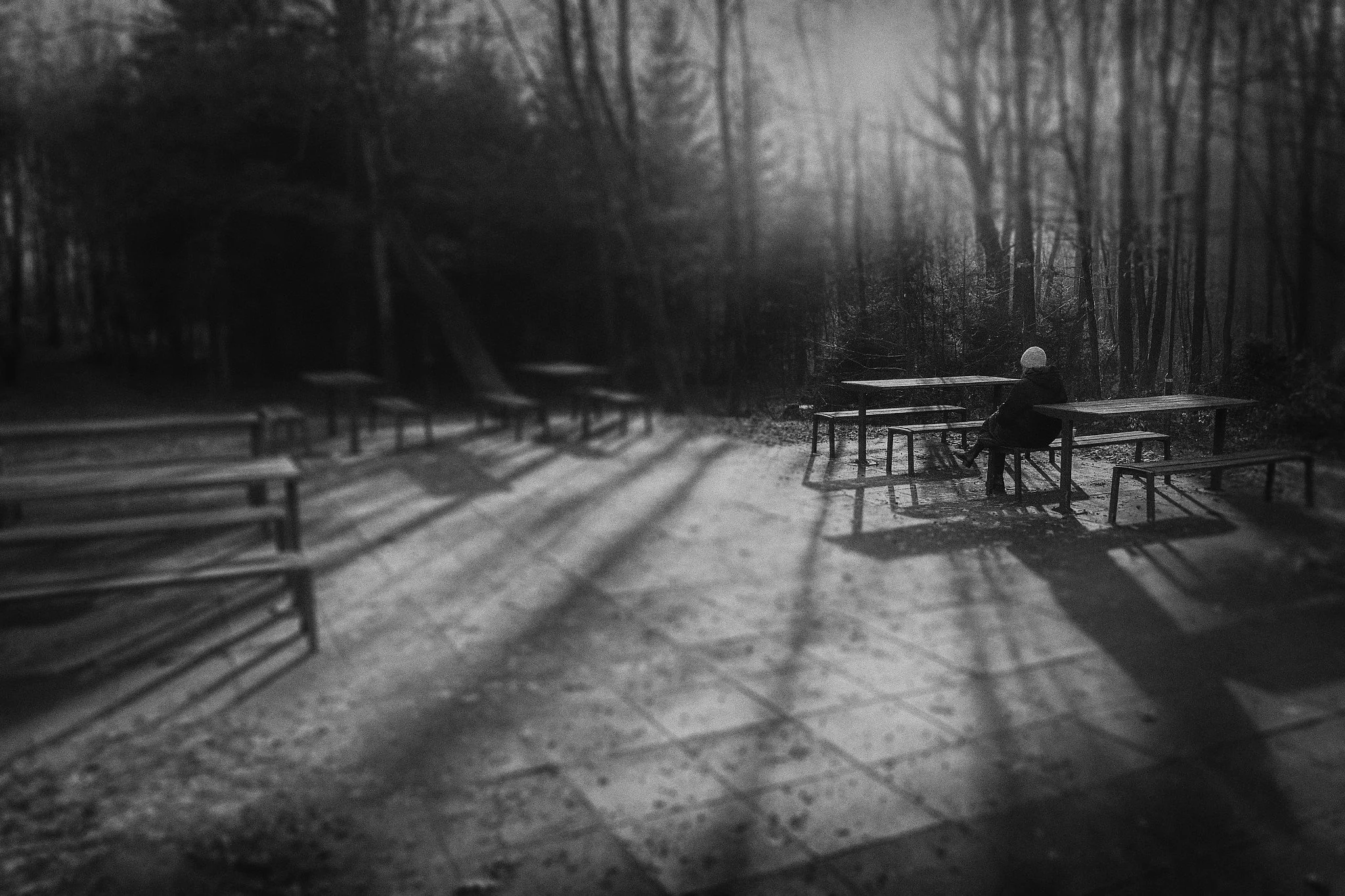 L1050291-Edit_Nik_DxO.jpg