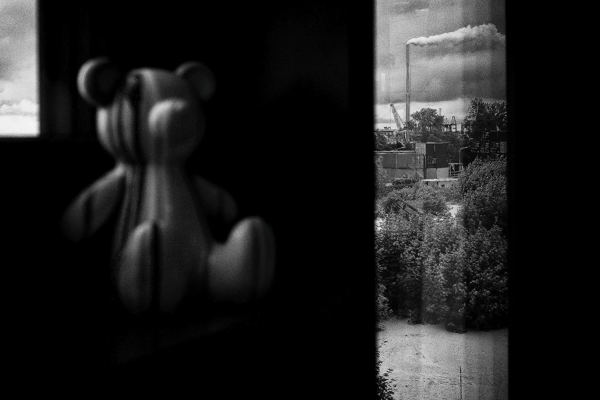 R0004212_Nik_DxO_DxO_DxO.jpg