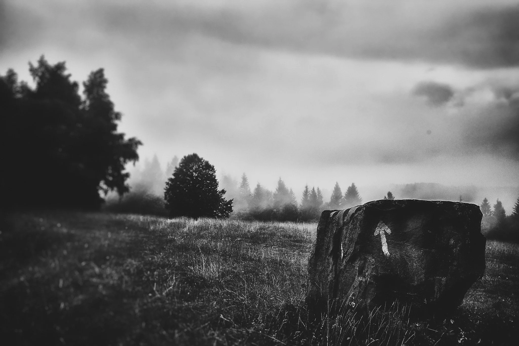 L1060351-2-Edit_Nik_DxO.jpg