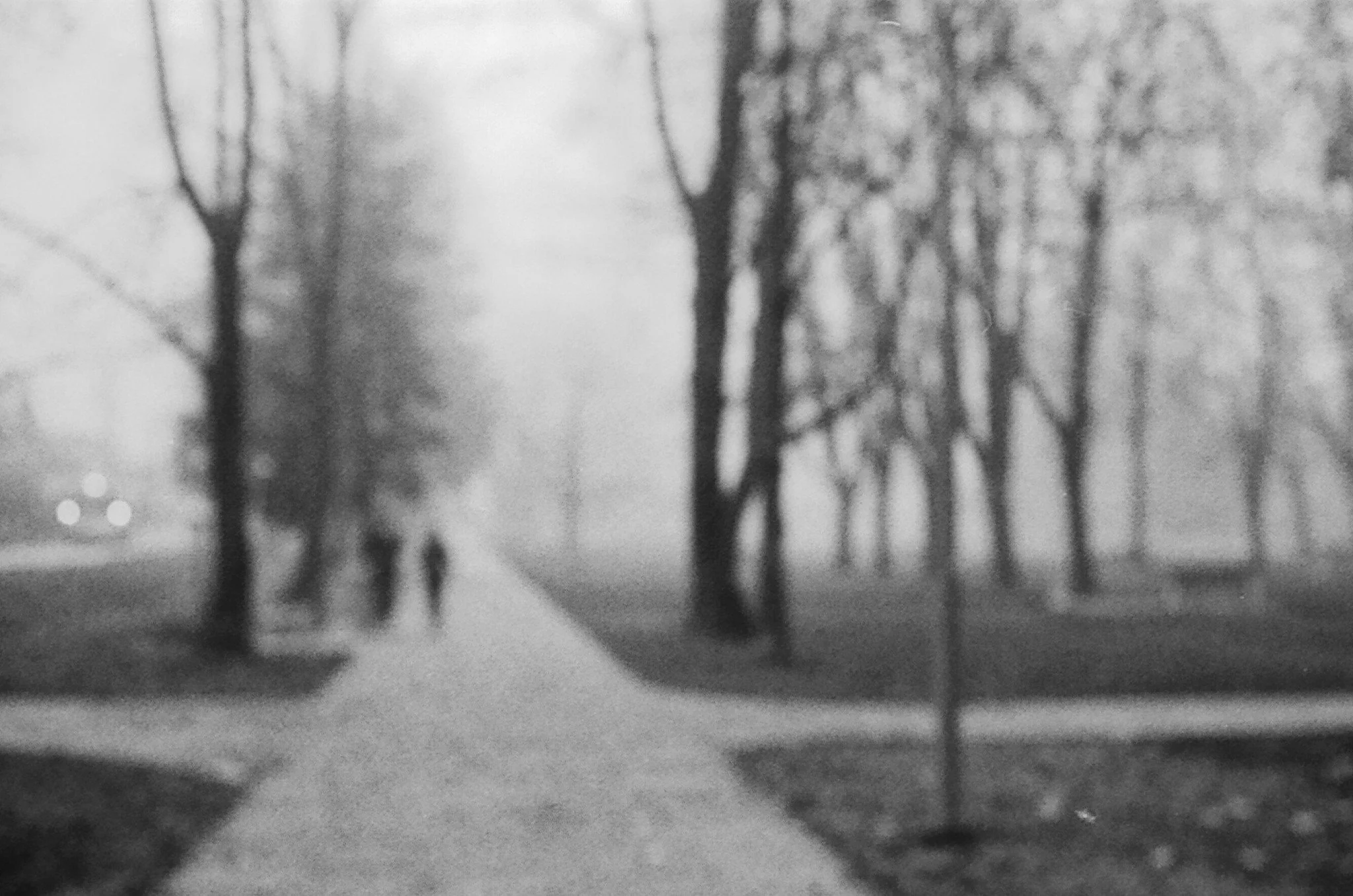 16390038_DxO_DxO.jpg