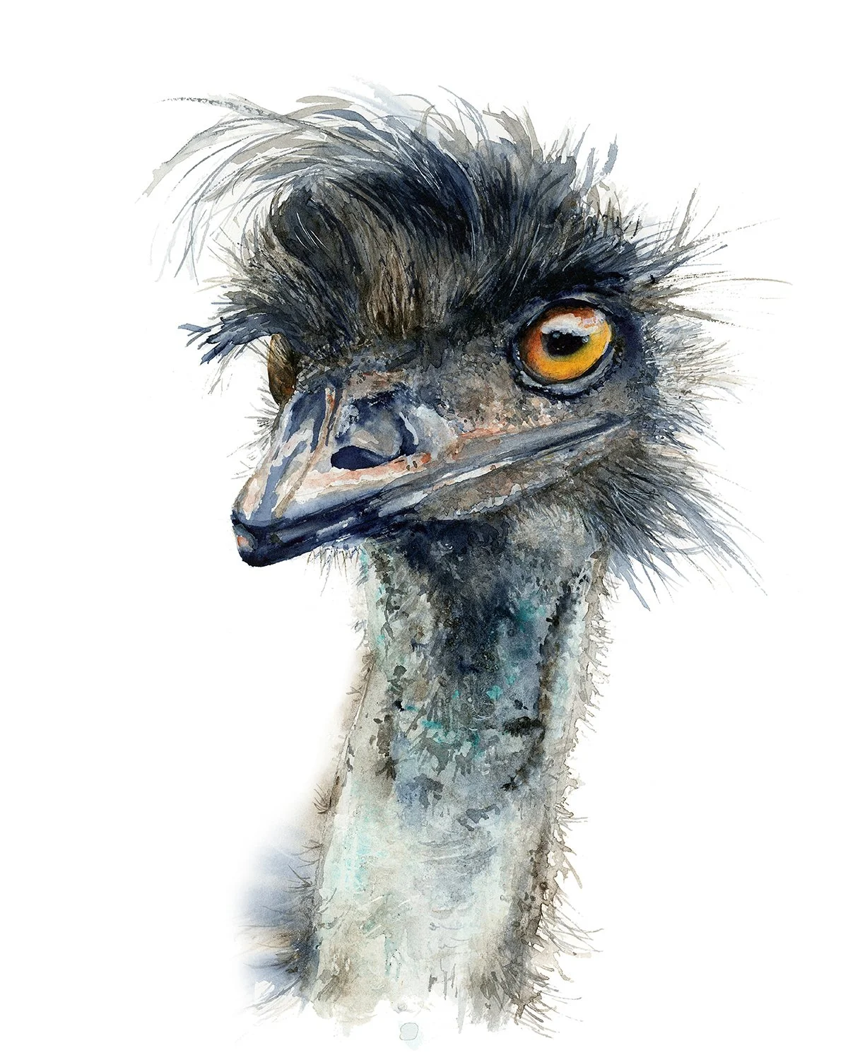 Leanna Weber Art emu.jpg