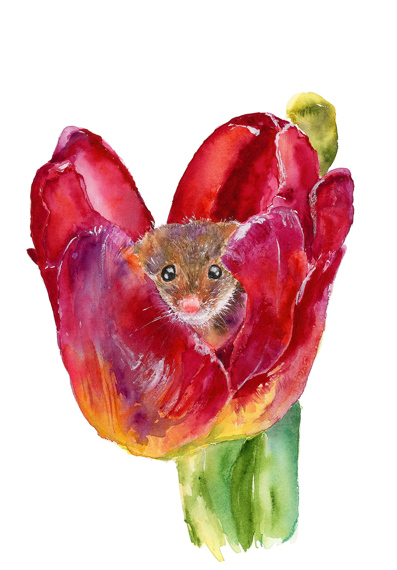 LEANNA WEBER ART TULIP.jpg