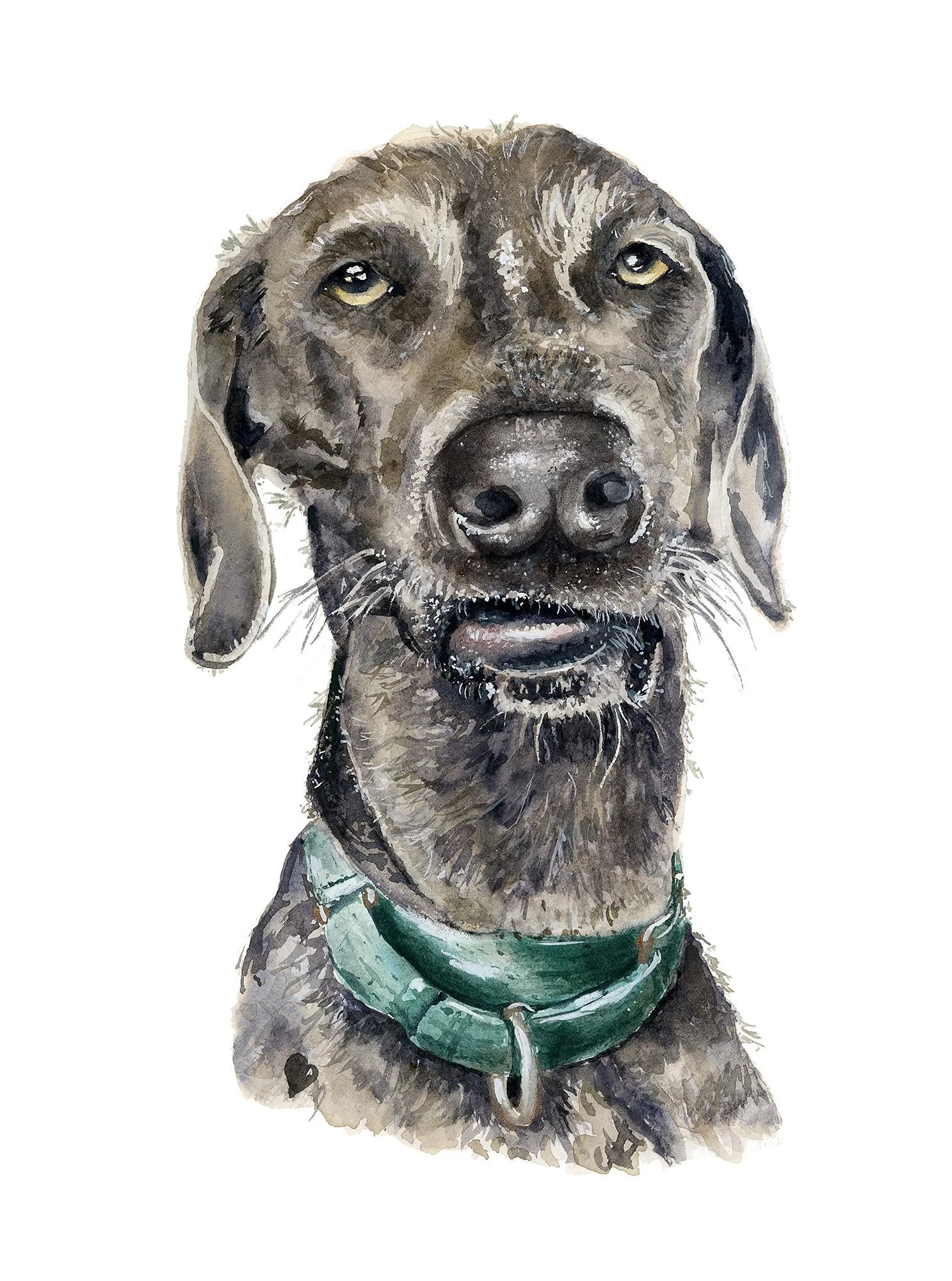 Doggie-Leanna-Weber-Art-Field-notes-3.jpg