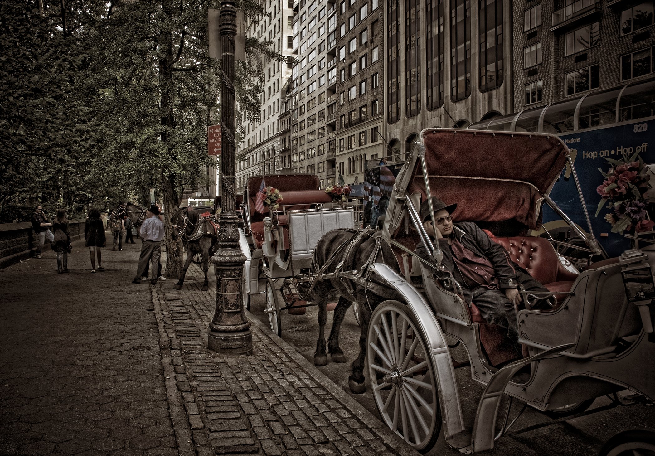 2009 CENTRAL PARK LEANNA WEBER ART.jpg