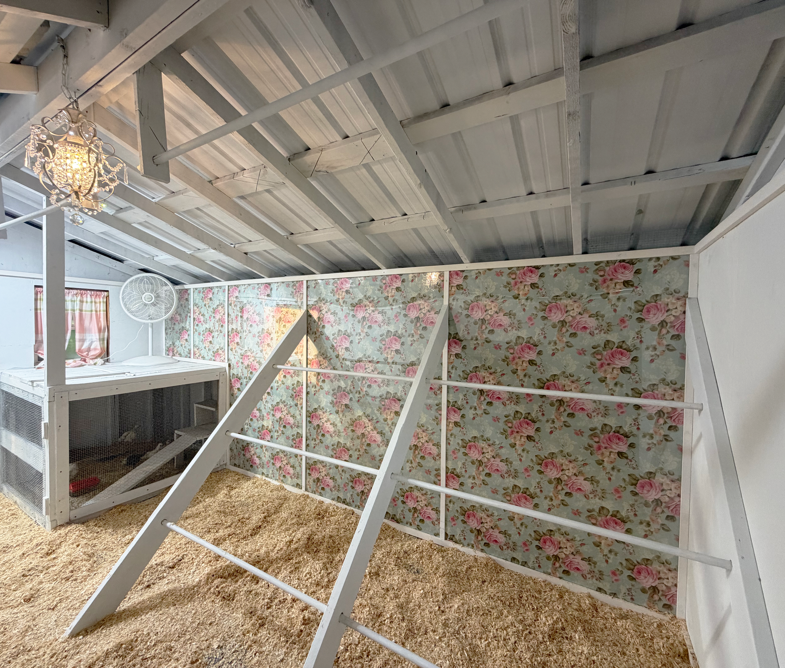 Fountain Farm Chicken Coop Inside