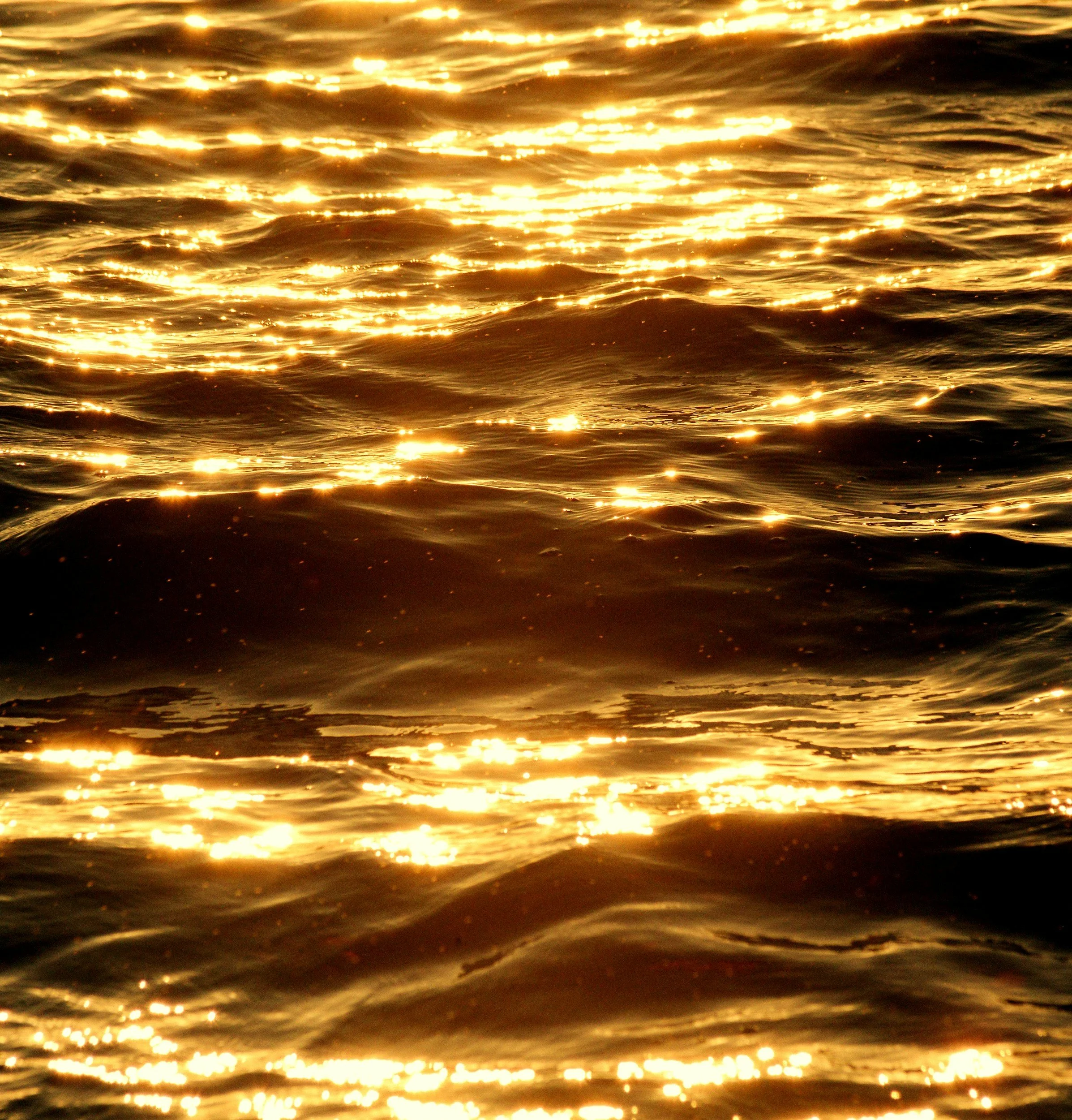Sunlight reflecting on the surface of the water, creating bright, shimmering golden patterns.