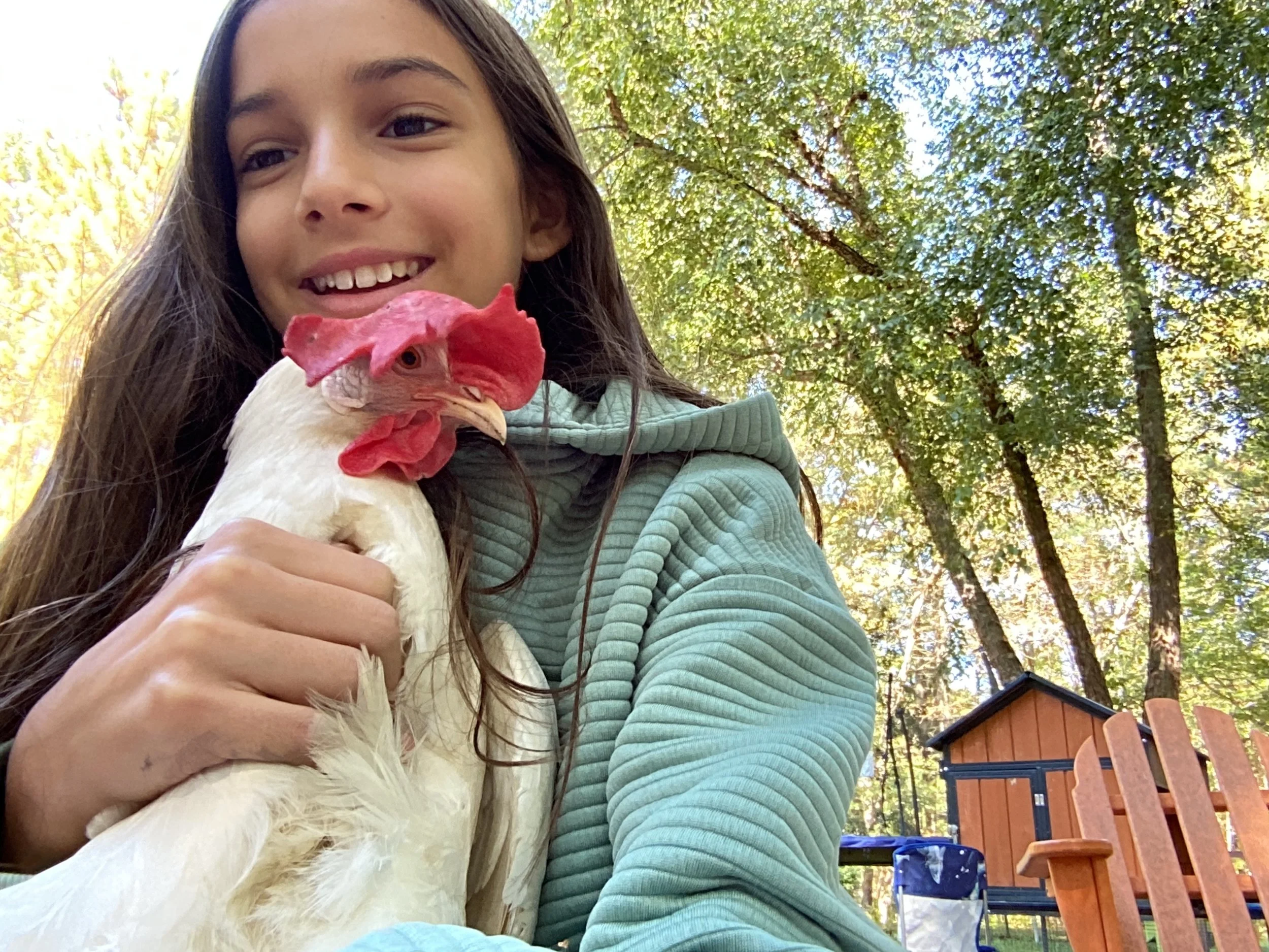 A young girl with long hair smiling, holding a white chicken with red comb and beak, outdoors with a background of trees and a wooden shed.