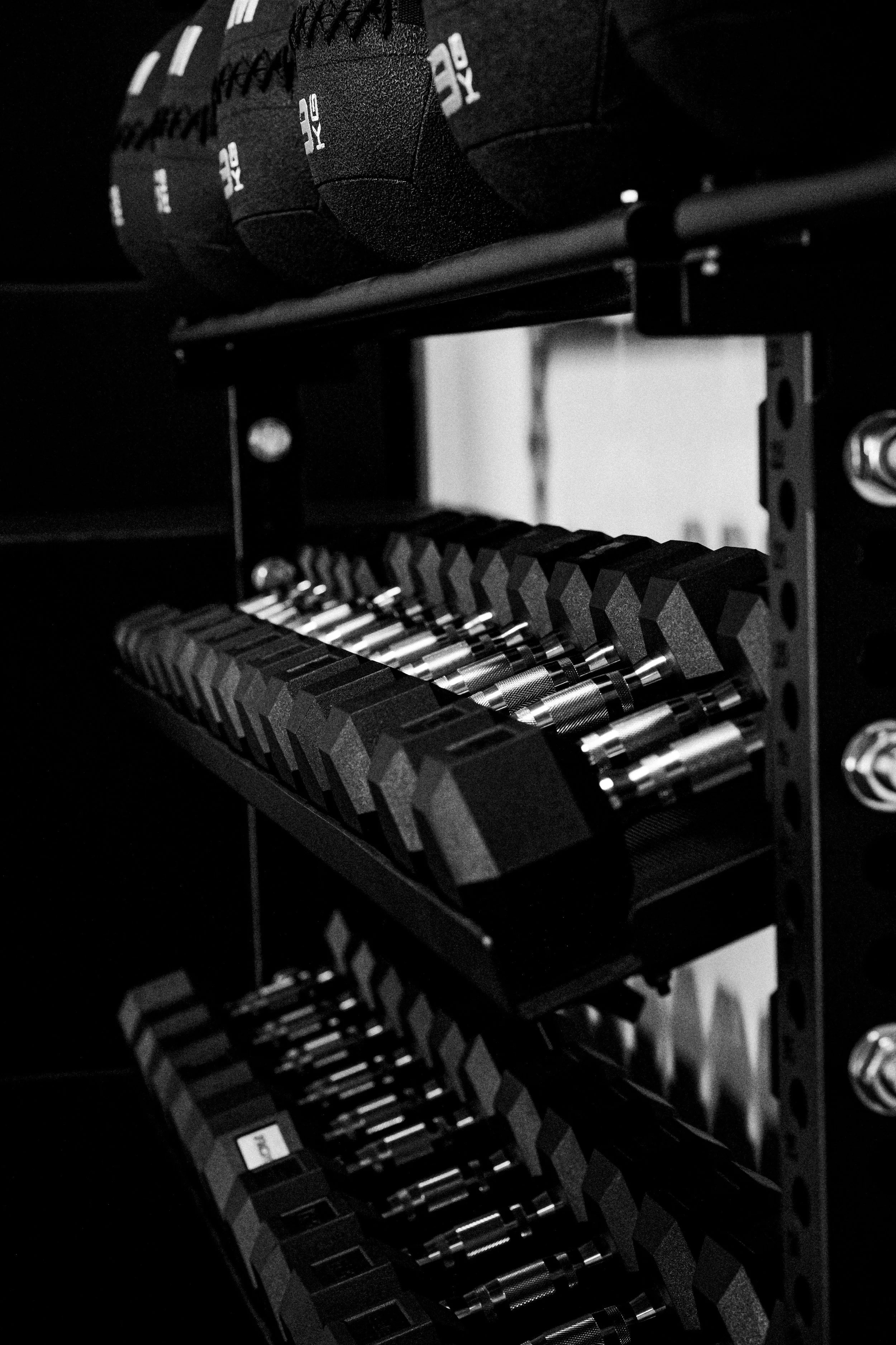 Close-up of professional dumbbells on a rack, in a gym setting, black and white photography.