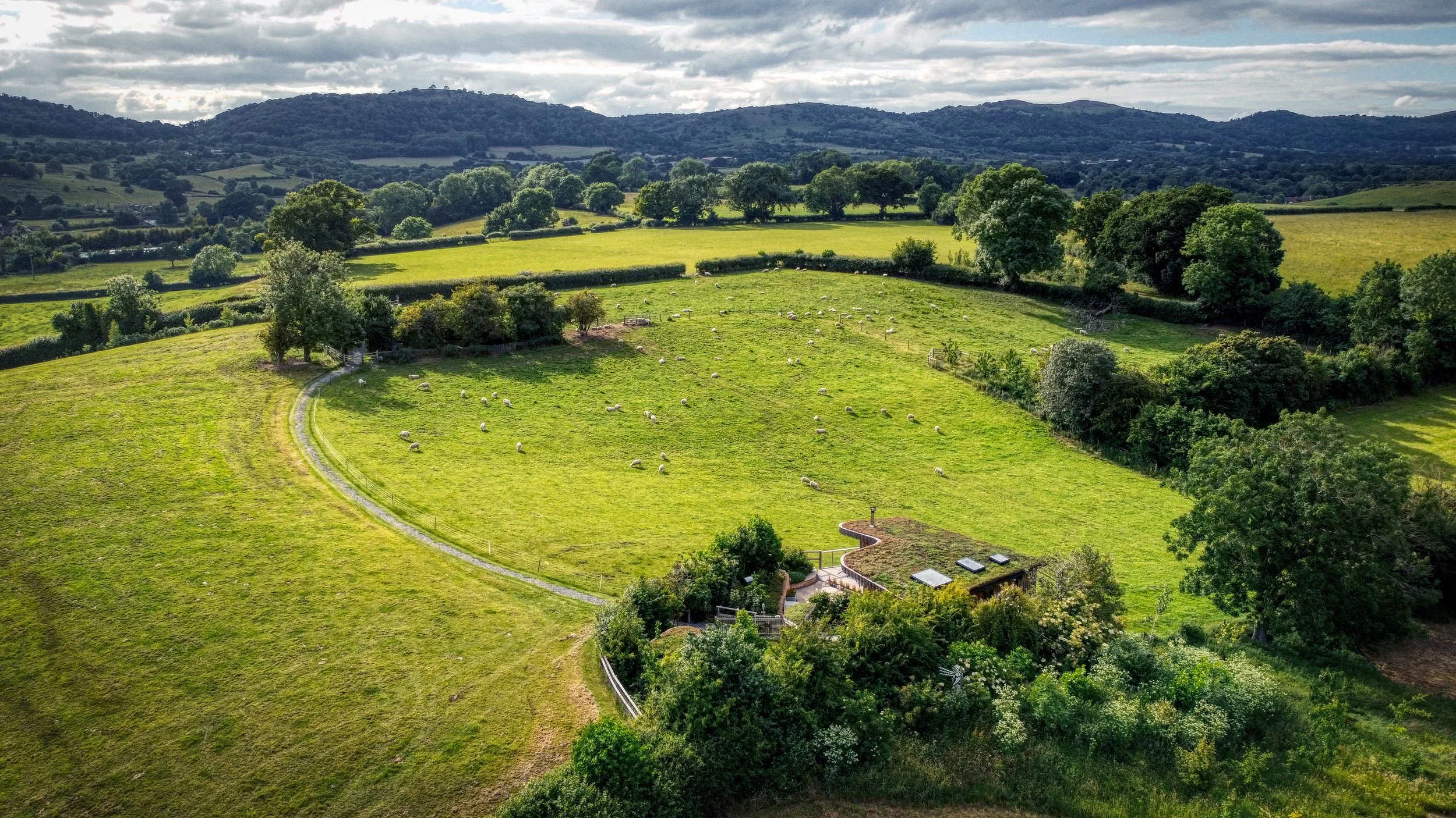 A scenic view of green rolling hills with scattered trees and a small herd of sheep in a fenced pasture, under a cloudy sky.