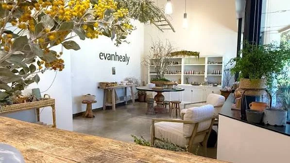 Interior of a modern, minimalistic store or gallery with plants, white shelves, and seating, with the name 'evanhealy' on the wall.