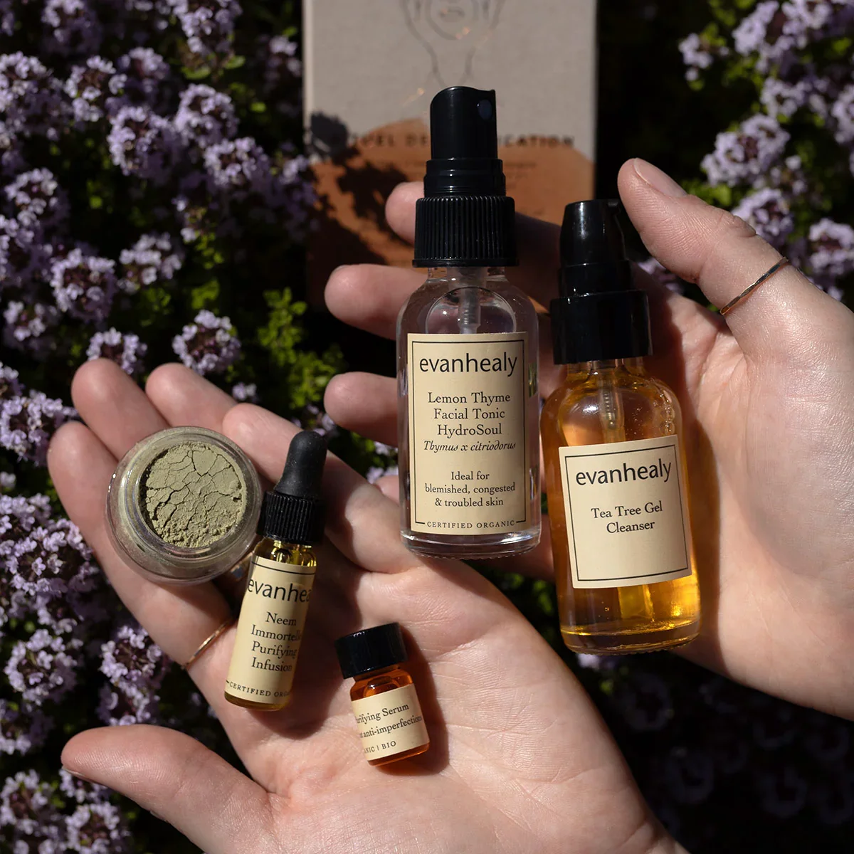 Hands holding small bottles of skincare products labeled Evanhealy, including Lemon Thyme Facial Tonic, Tea Tree Gel Cleanser, Neem Immortelle Purifying Infusion, and an anti-imperfection serum, against a background of purple flowers.