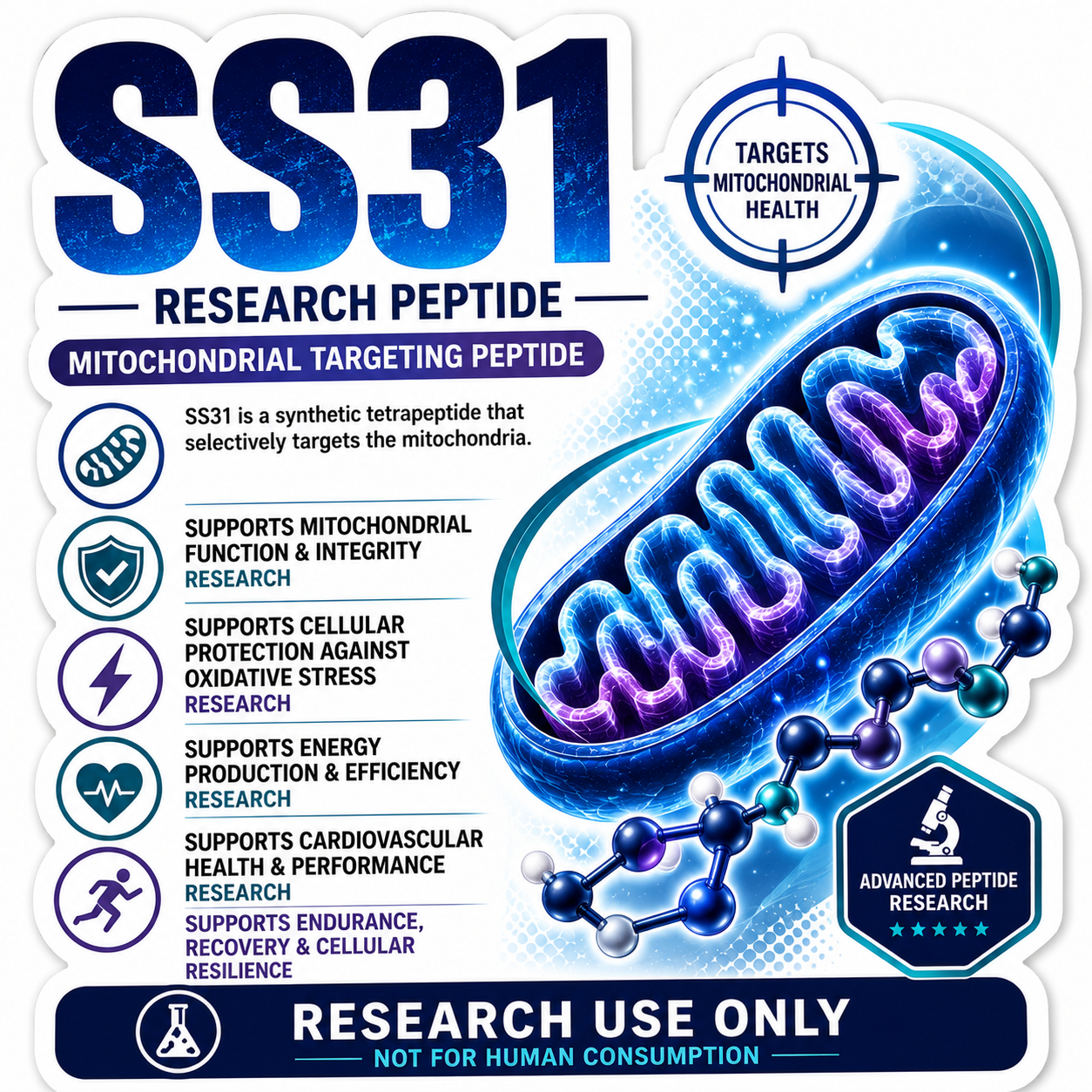 SS-10