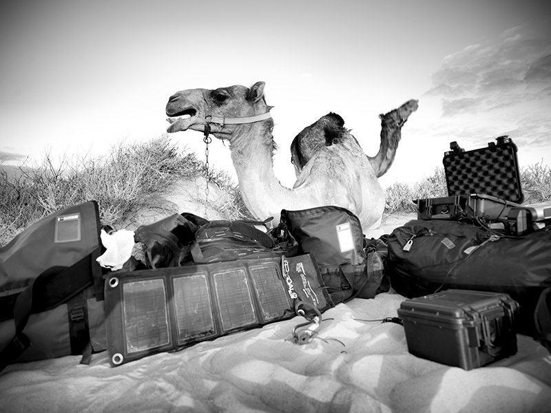 Equipment_ViktorBentley_2011-01-06_[17h23m11s].jpg
