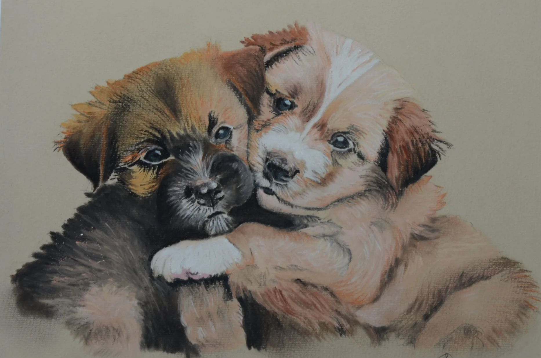 Cuddling Puppies 