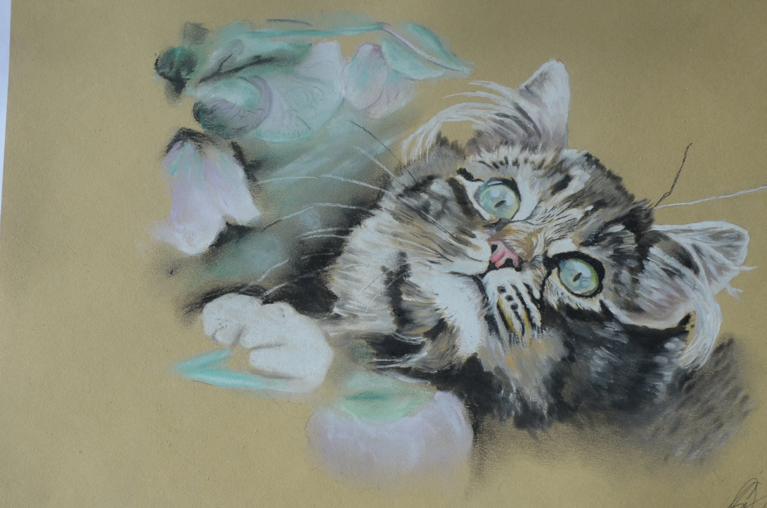 Green Eyed Cat 