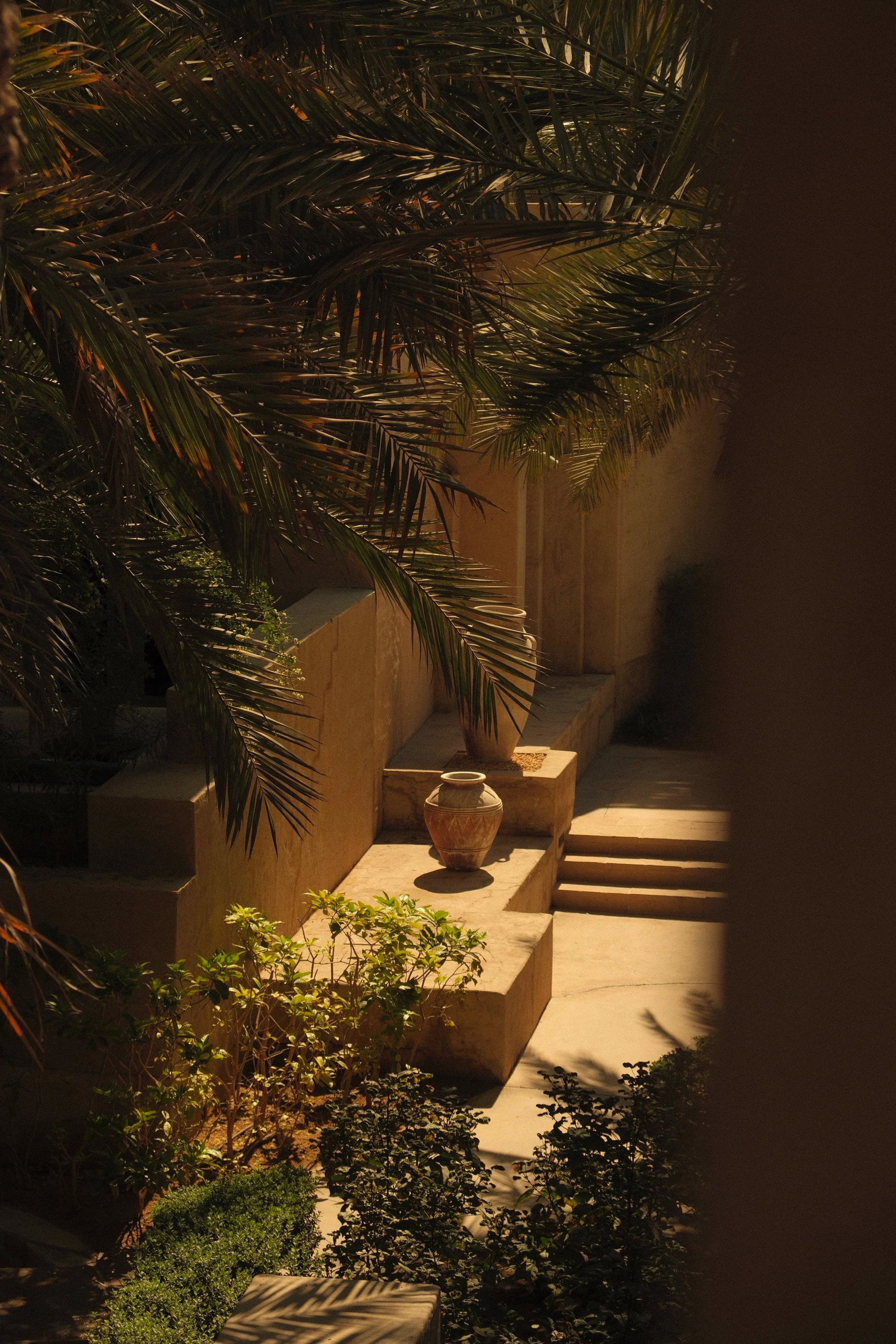 Nighttime view of a patio with Dominican Republic's flag painted on the wall, a large leafy palm, and decorative vases with plants, illuminated by warm lighting.