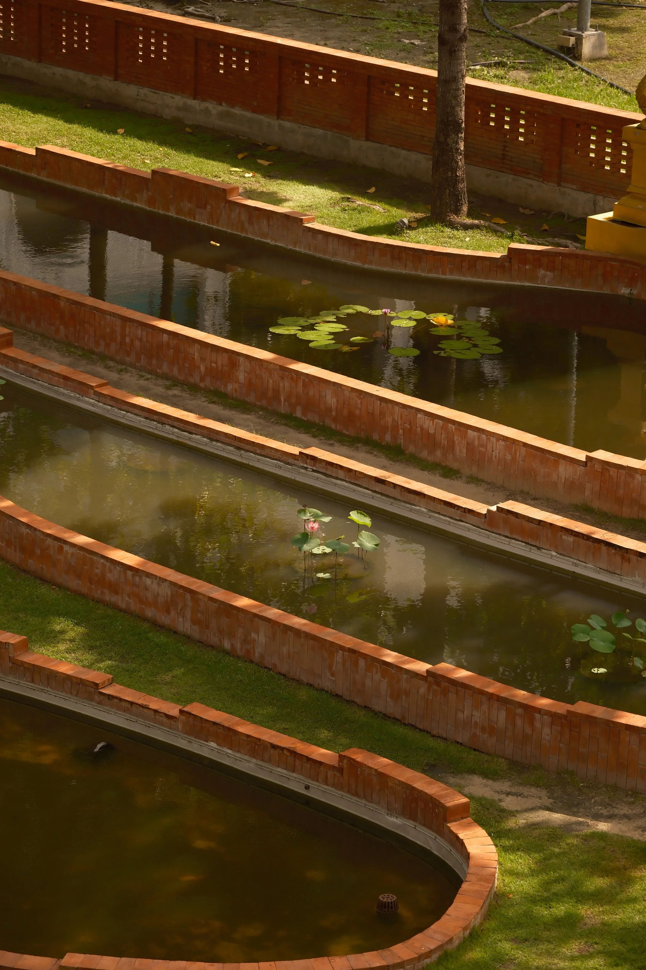 Several water channels with brick sides separated by grassy areas, some water lilies floating on the water, a tree on the grass, and a brick fence in the background.