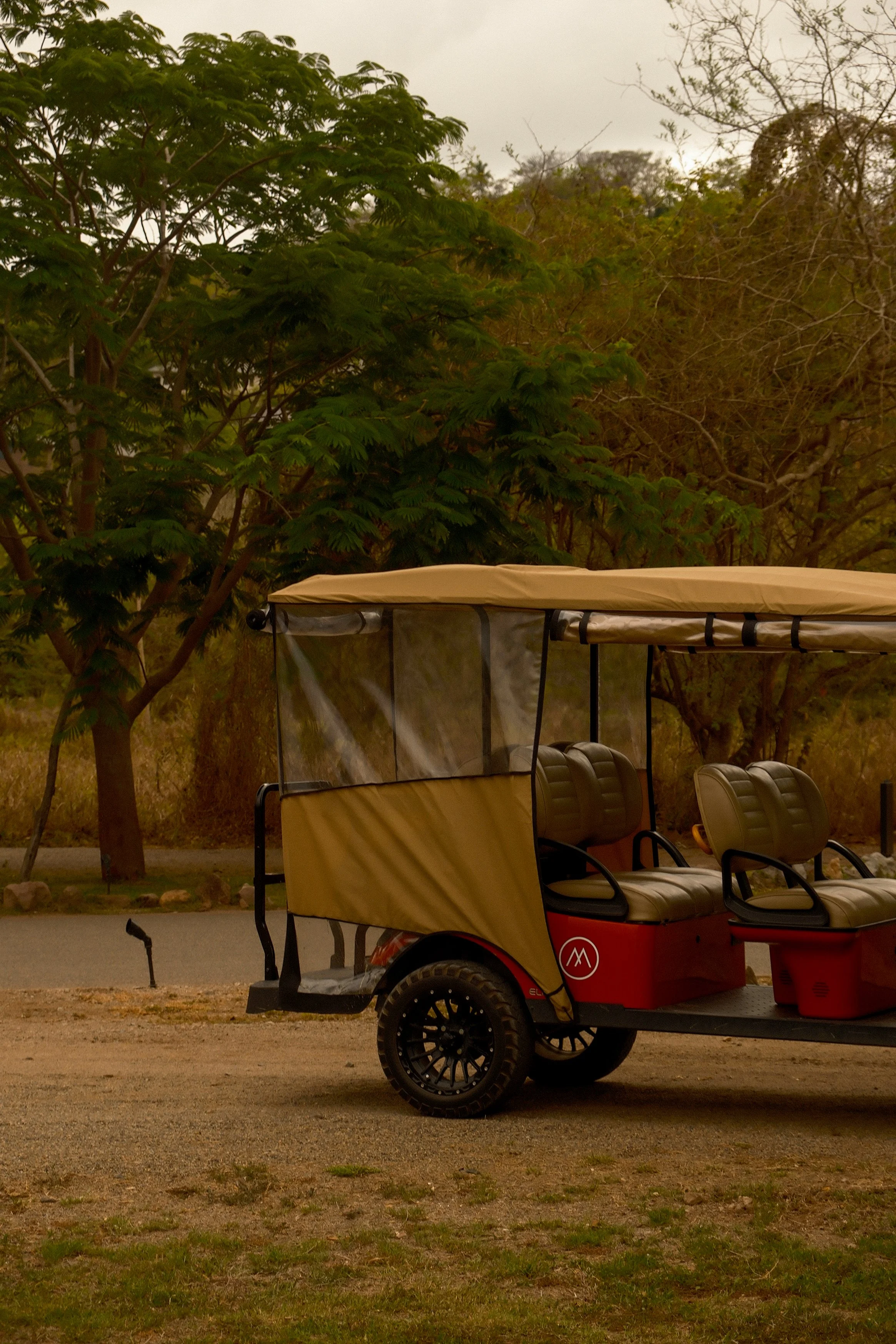 A golf cart parked on a patch of dirt and grass with trees in the background during dusk.