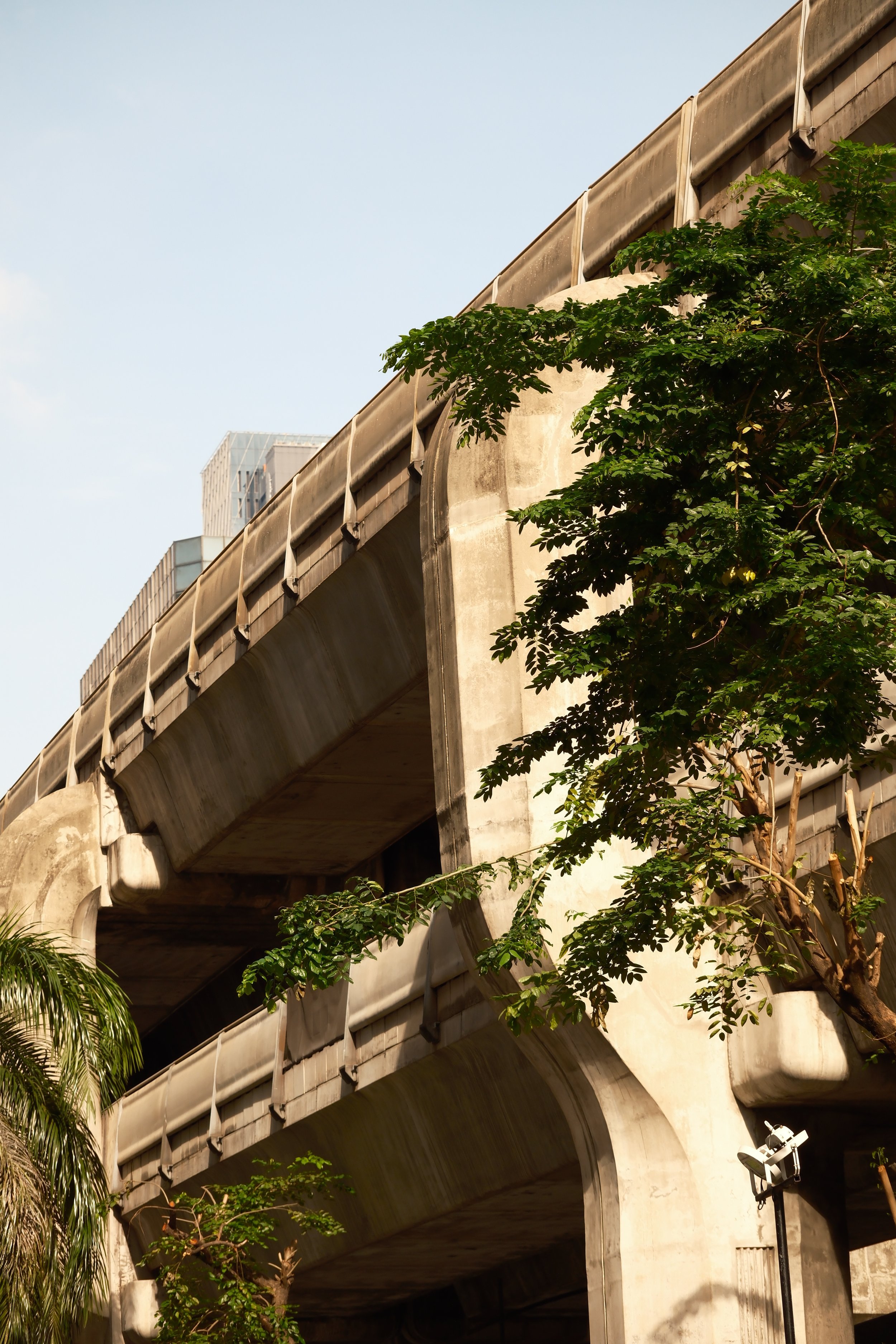 Close-up view of a concrete bridge with multiple arches, partially covered by green trees and foliage, under a clear blue sky.