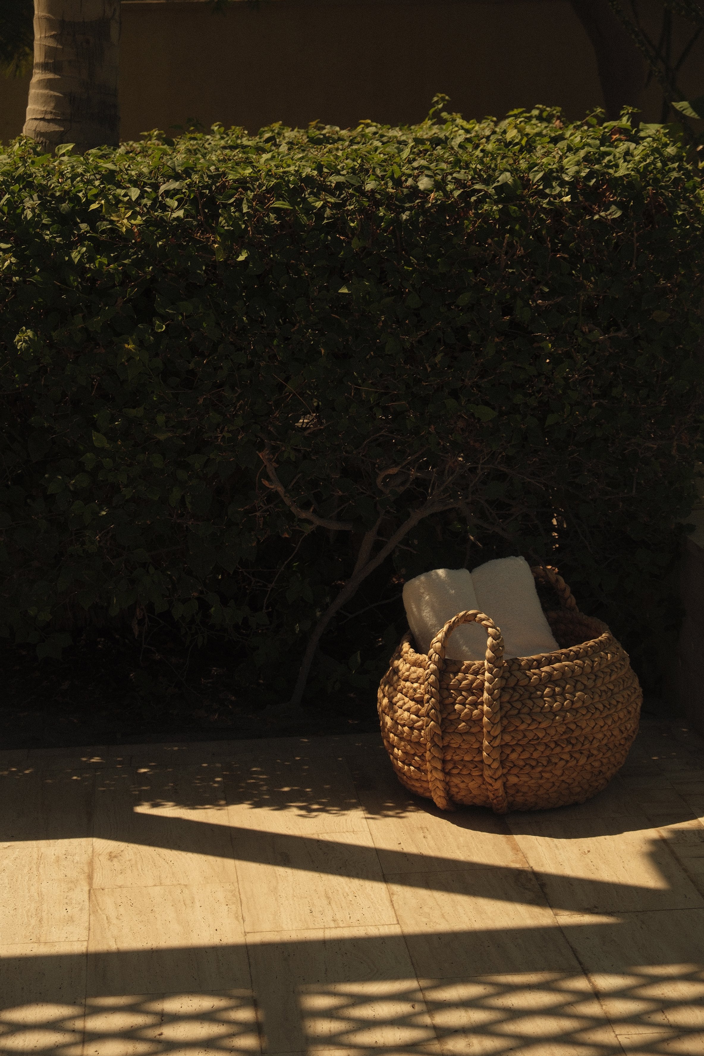 A woven straw basket with rope handles sits on a tiled floor, bathed in sunlight shadowed by a decorative metal screen, with a bush and tree trunk in the background.